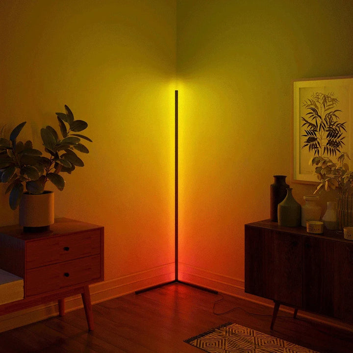 Smart And Colorful Floor Lamp